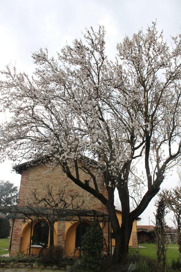 La Trunera Guest House Alessandria Zewnętrze zdjęcie